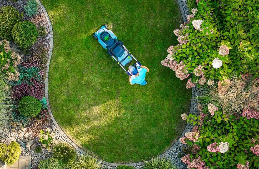 Alpha garden