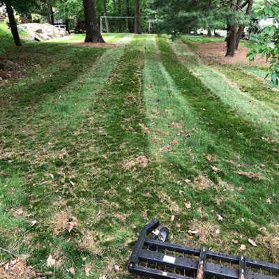 Spring Yard Cleanup Checklist - Get Your Lawn Ready for the Season 6 Spring Cleanup 1