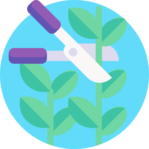Trimming 2