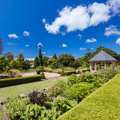 lawngarden1