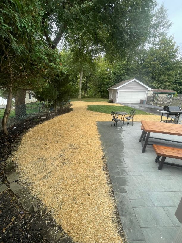 pompton lake aeration before and after results