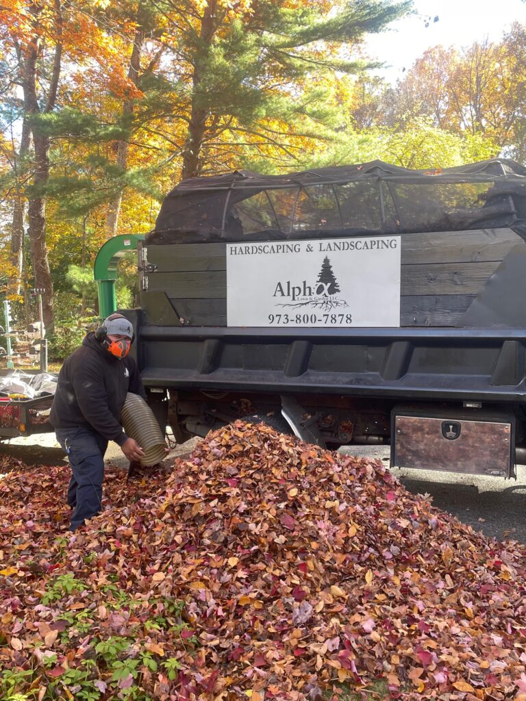 Professional Fall Cleanups in Bergan and Morris county