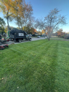 leaf-cleanup-pompton-lakes