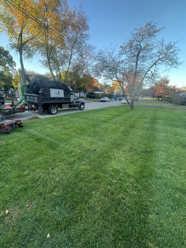 Fall Leaf Cleanup in Pompton Lakes: Why It Matters for a Healthy, Beautiful Lawn 1 leaf-cleanup-pompton-lakes