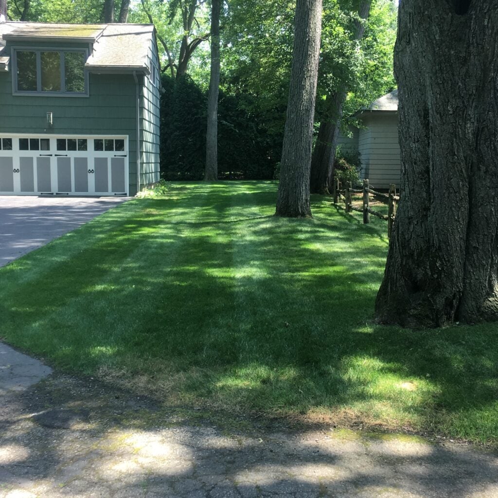 Lawn mowing Service Alpha lawn and garden