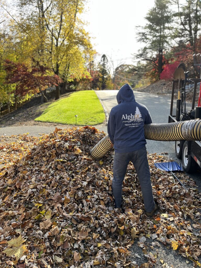 Fall Cleanups Passaic, Morris & Bergan County