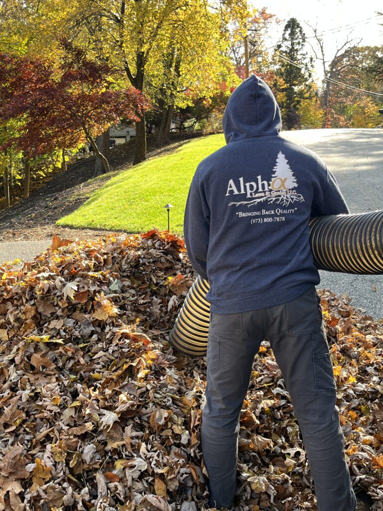 Fall Cleanups Passaic, Morris & Bergan County