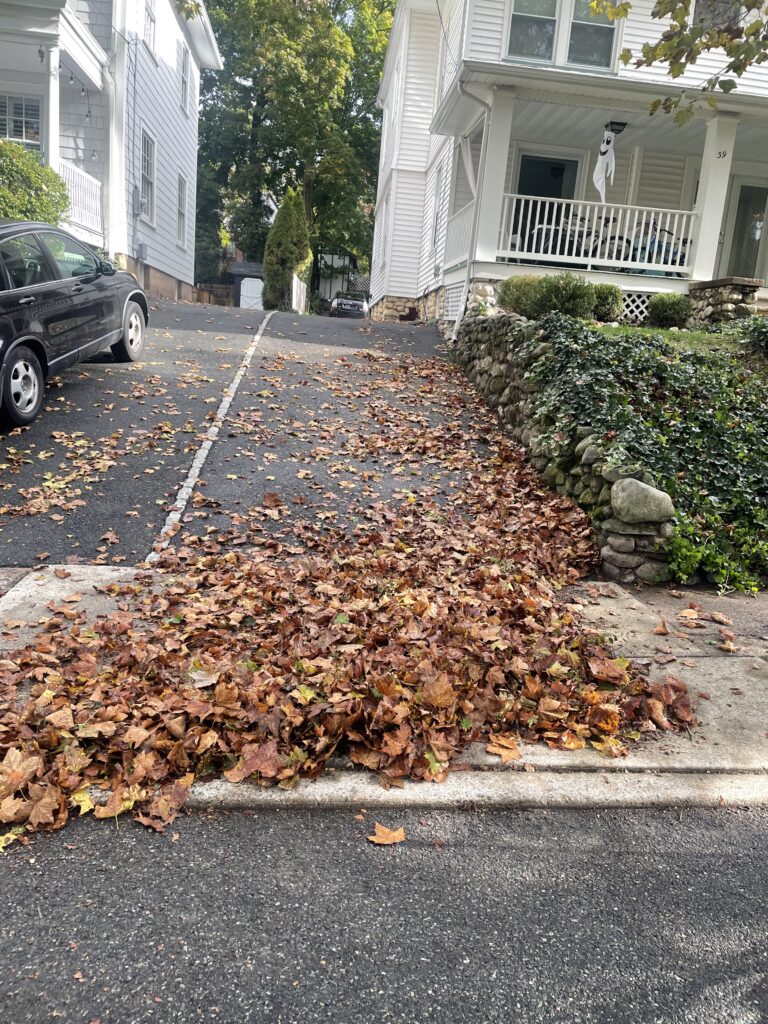 Fall Cleanups Bergan County in Ridgewood, NJ