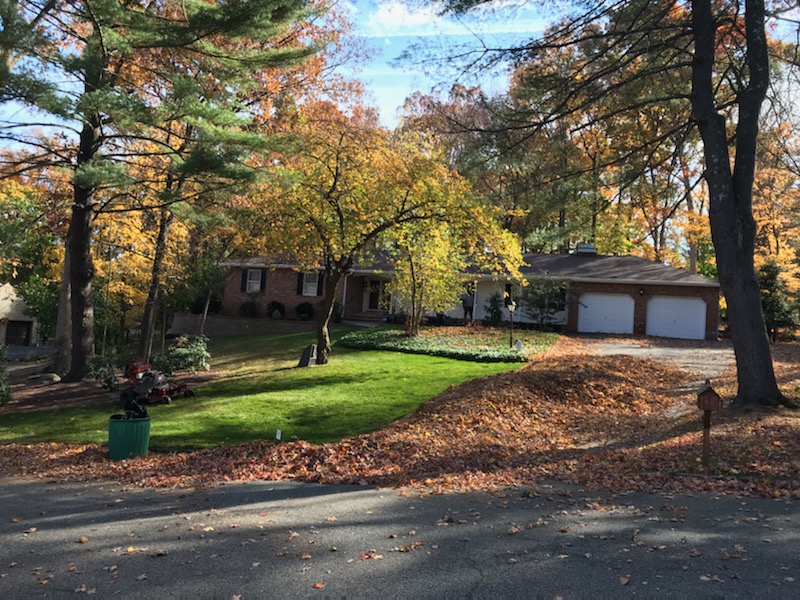 Fall Cleanups pines laake wayne, NJ