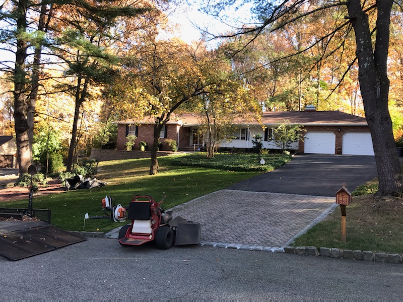 Fall Cleanups Passaic, Morris & Bergan County