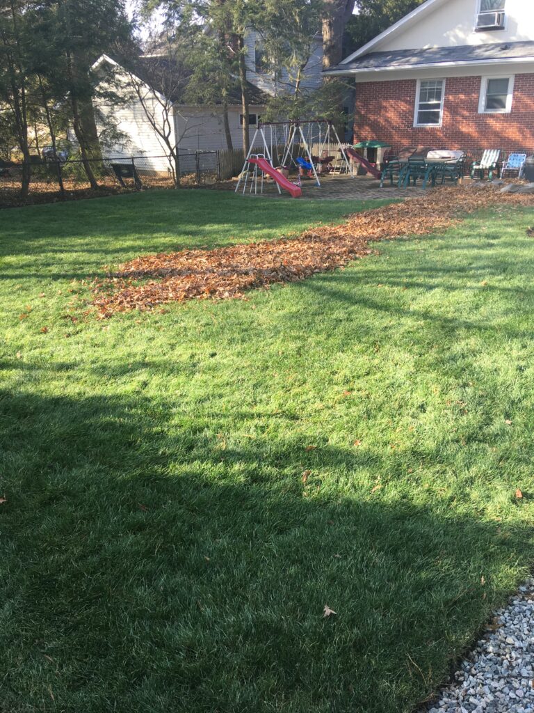 Fall Cleanups Bergan County in glenrock