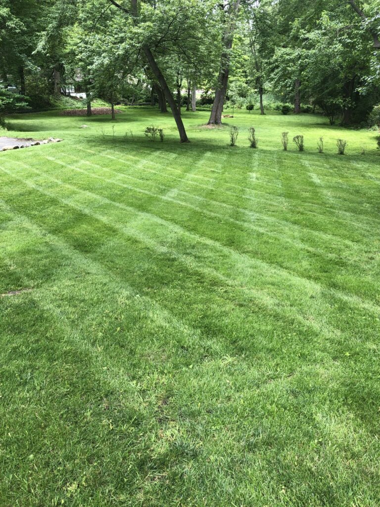 Lawn Mowing Service Alpha lawn and garden LLC