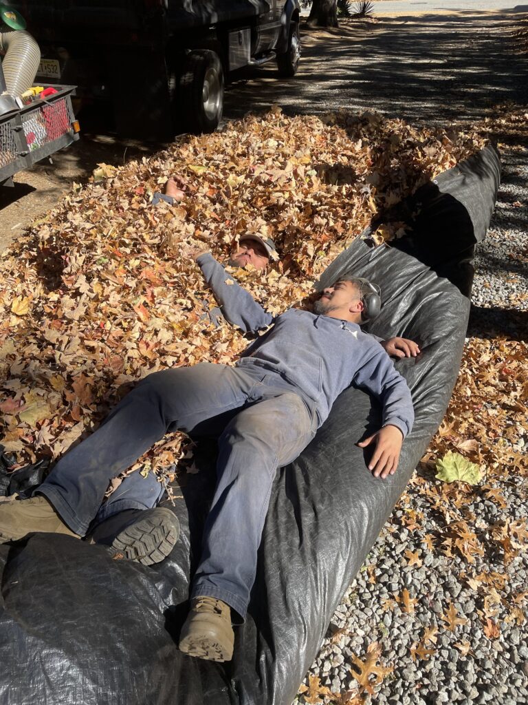 Fall Cleanups Passaic, Morris & Bergan County