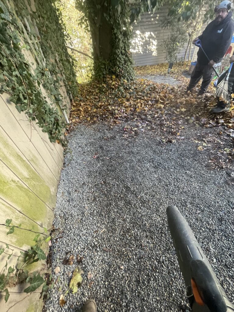Fall Cleanups Ridgwood, NJ Bergan County