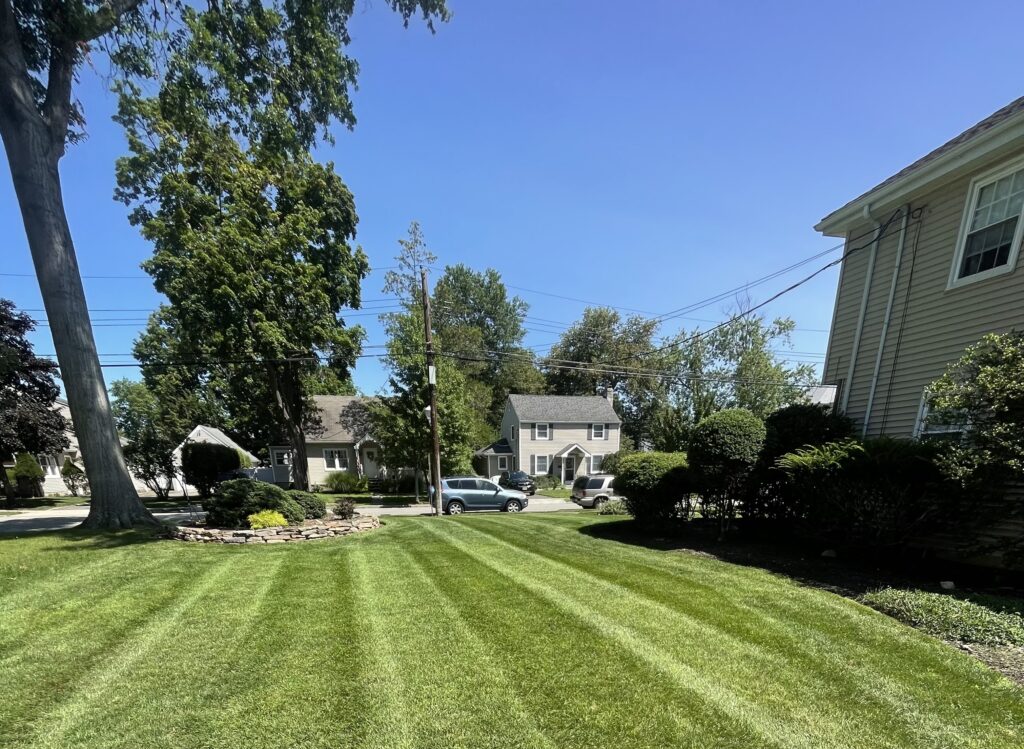 Lawn Mowing Service Alpha lawn and garden LLC