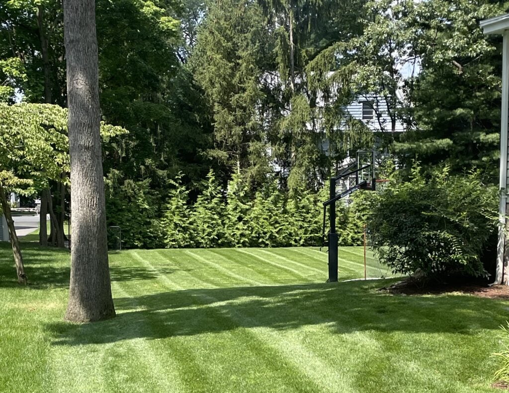 Professional Lawn Care & Landscaping Services in Pompton Plains, NJ