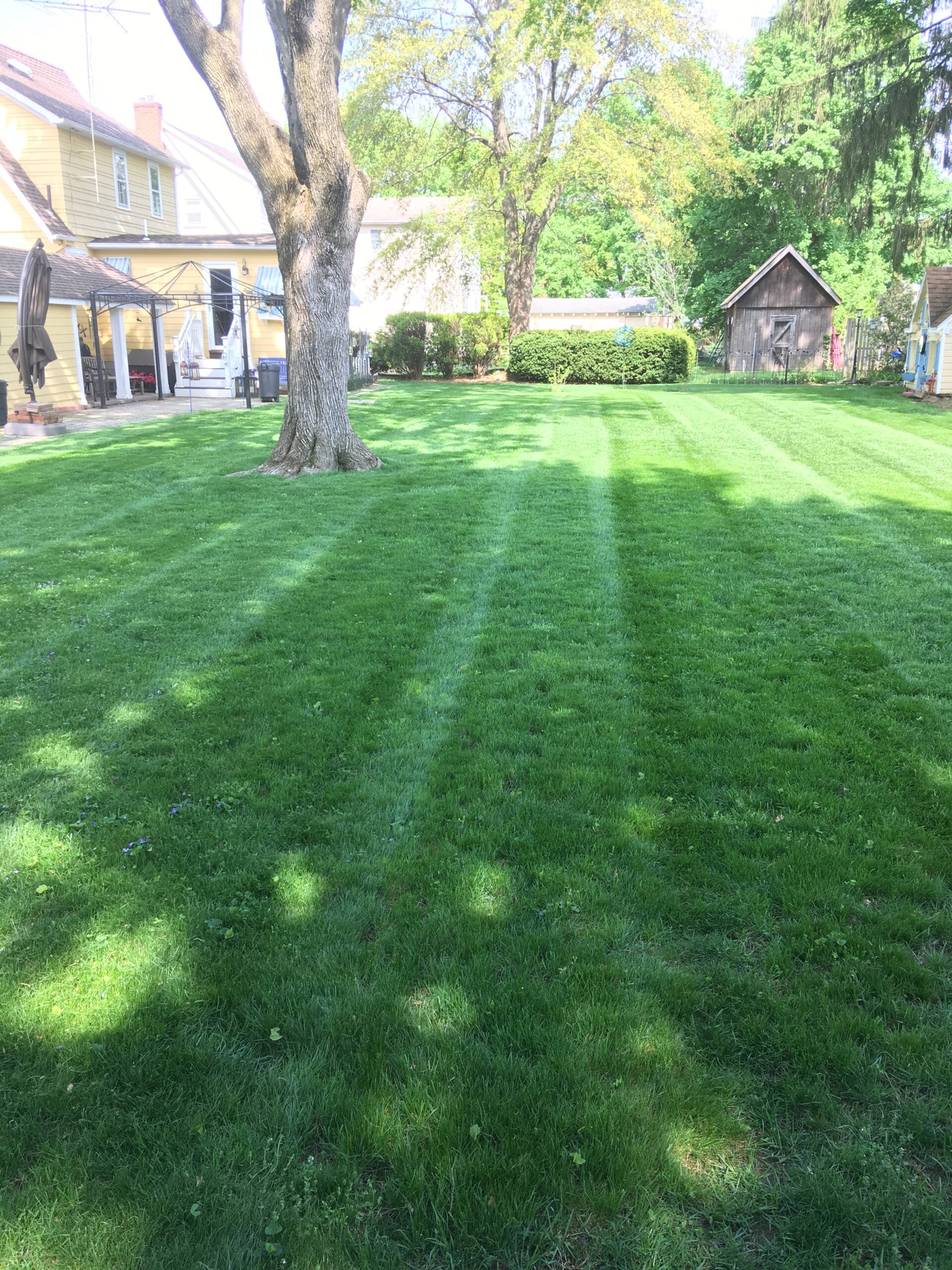 Lawn Mowing Service in Pequannock, NJ