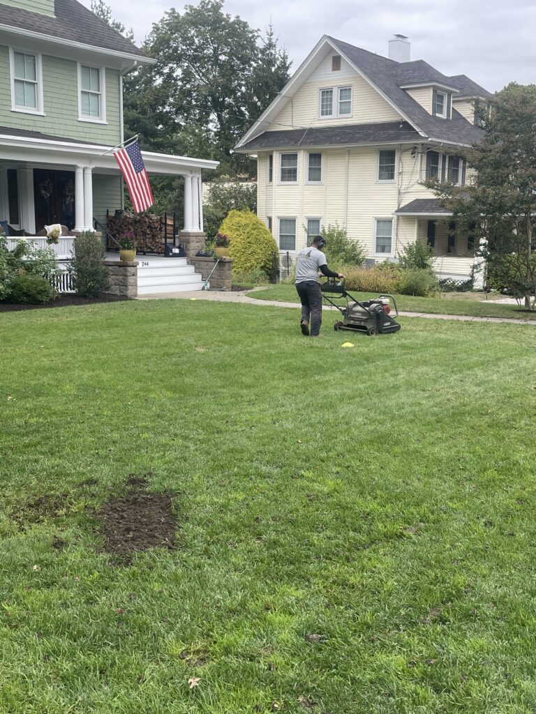 Aeration in ridgewood, NJ
