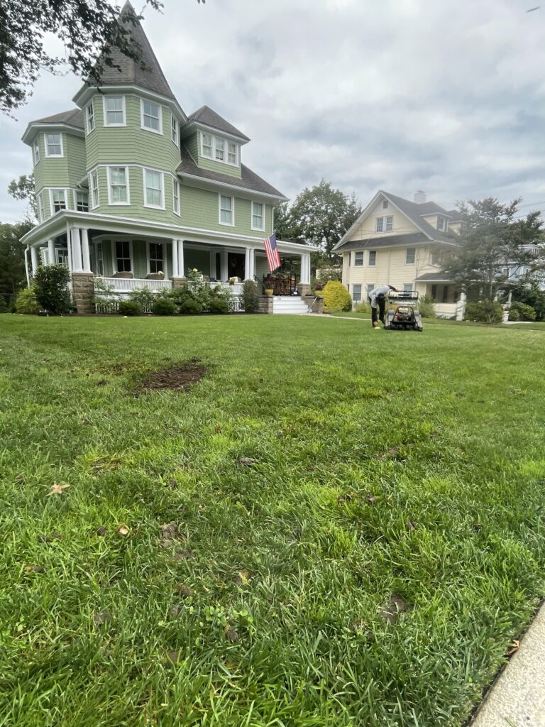 Aeration in ridgewood, NJ