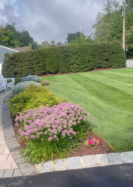 Lawn Mowing Service in Pequannock, NJ